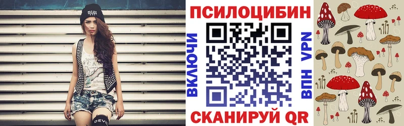Псилоцибиновые грибы Psilocybine cubensis Углич