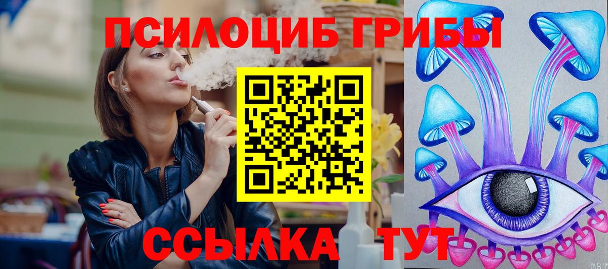 Псилоцибиновые грибы Psilocybe  Вход с VPN  Углич 