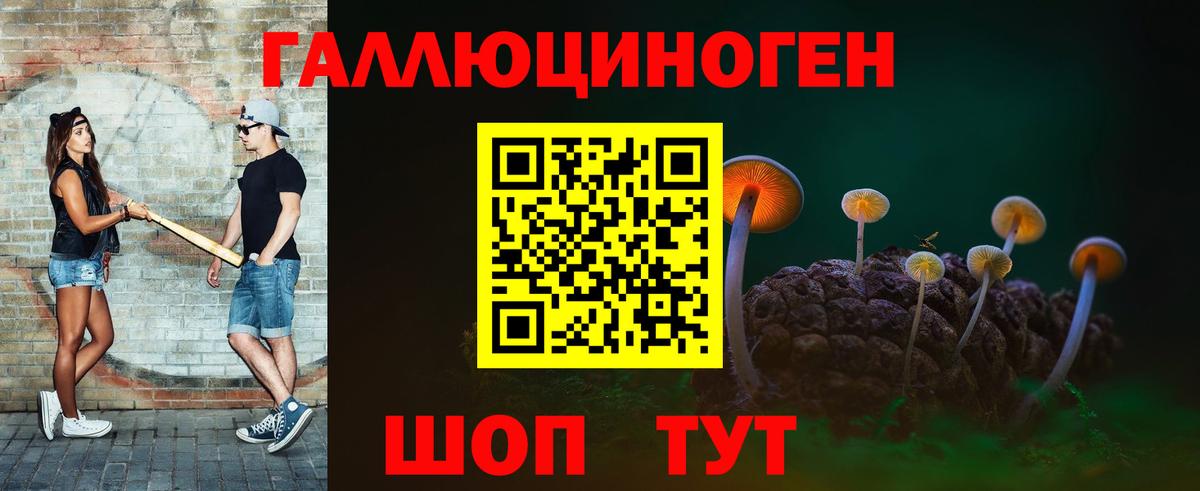 Псилоцибиновые грибы Psilocybe Углич